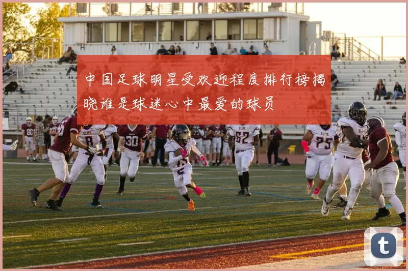 中国足球明星受欢迎程度排行榜揭晓谁是球迷心中最爱的球员