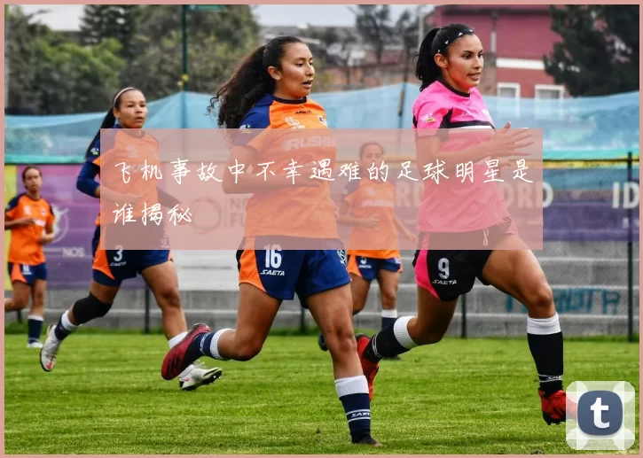 飞机事故中不幸遇难的足球明星是谁揭秘