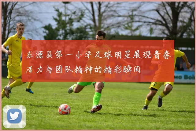 东源县第一小学足球明星展现青春活力与团队精神的精彩瞬间