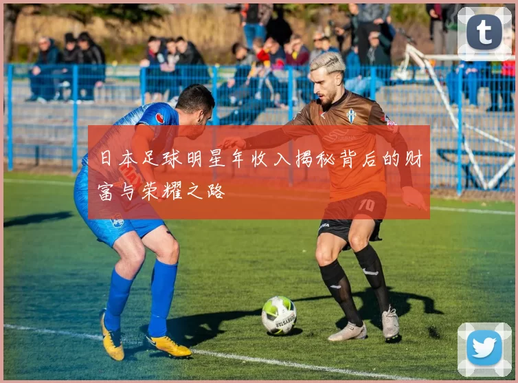 日本足球明星年收入揭秘背后的财富与荣耀之路