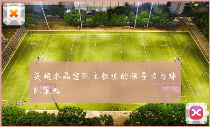 英超水晶宫队主教练的领导力与球队策略