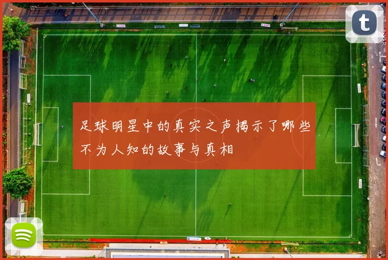 足球明星中的真实之声揭示了哪些不为人知的故事与真相