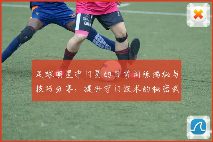 足球明星守门员的日常训练揭秘与技巧分享，提升守门技术的秘密武器
