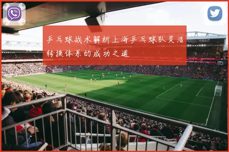 乒乓球战术解析上海乒乓球队灵活转换体系的成功之道