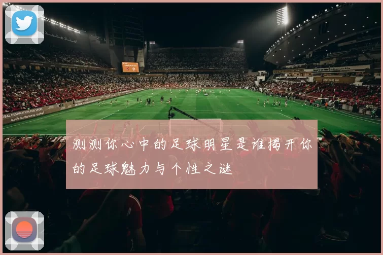 测测你心中的足球明星是谁揭开你的足球魅力与个性之谜