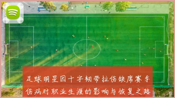 足球明星因十字韧带拉伤缺席赛季伤病对职业生涯的影响与恢复之路探讨