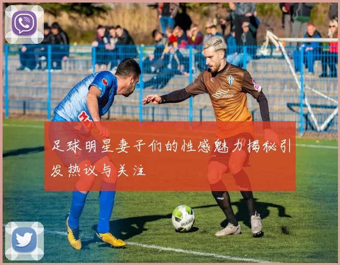 足球明星妻子们的性感魅力揭秘引发热议与关注