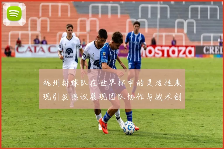 杭州排球队在世界杯中的灵活性表现引发热议展现团队协作与战术创新