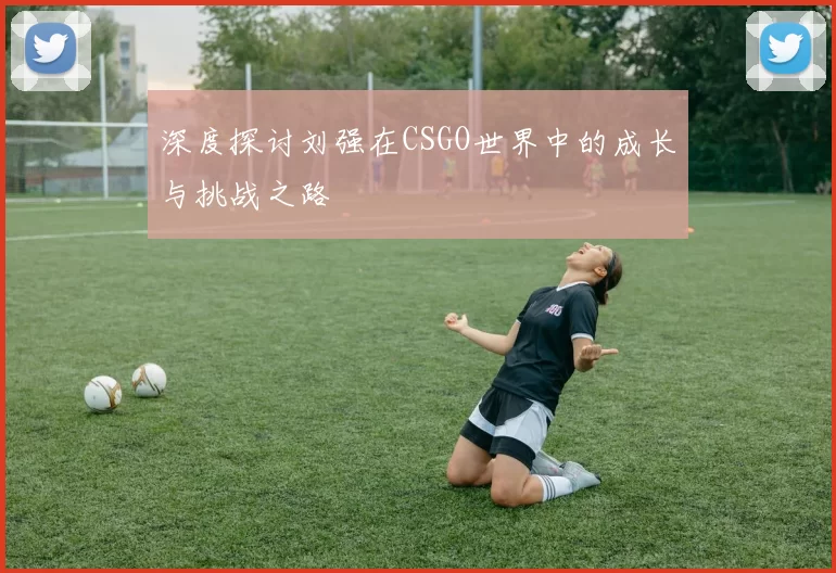 深度探讨刘强在CSGO世界中的成长与挑战之路