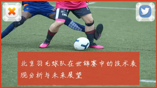 北京羽毛球队在世锦赛中的技术表现分析与未来展望