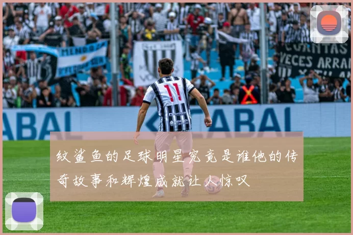 纹鲨鱼的足球明星究竟是谁他的传奇故事和辉煌成就让人惊叹