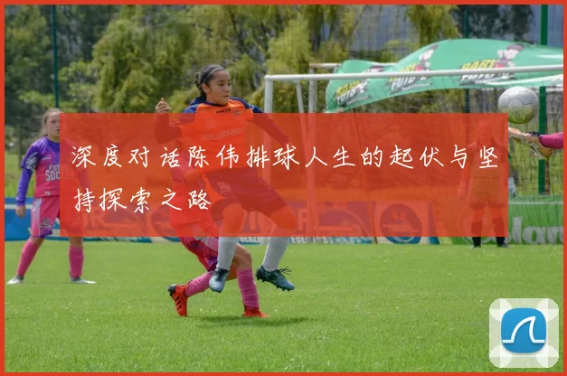 深度对话陈伟排球人生的起伏与坚持探索之路