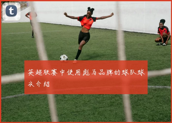 英超联赛中使用彪马品牌的球队球衣介绍
