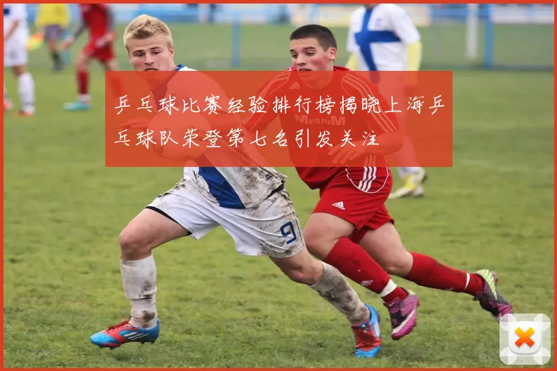 乒乓球比赛经验排行榜揭晓上海乒乓球队荣登第七名引发关注