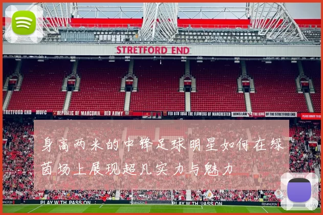 身高两米的中锋足球明星如何在绿茵场上展现超凡实力与魅力