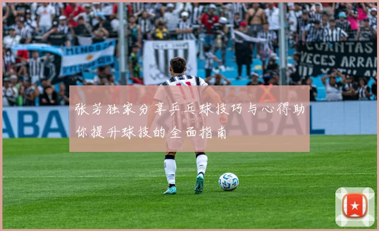 张芳独家分享乒乓球技巧与心得助你提升球技的全面指南