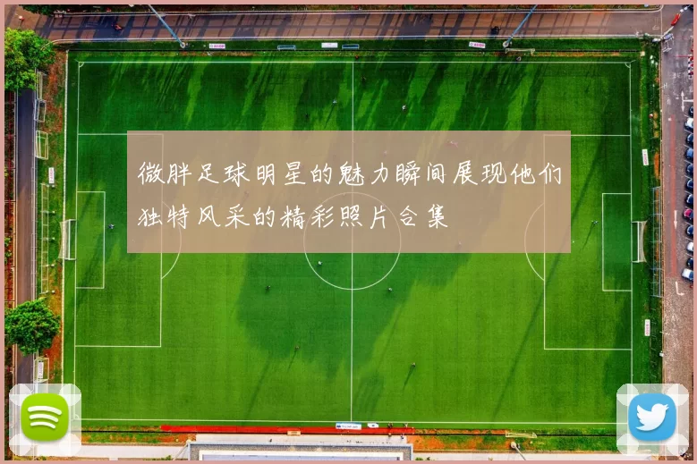 微胖足球明星的魅力瞬间展现他们独特风采的精彩照片合集