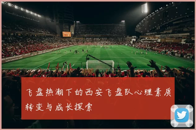 飞盘热潮下的西安飞盘队心理素质转变与成长探索