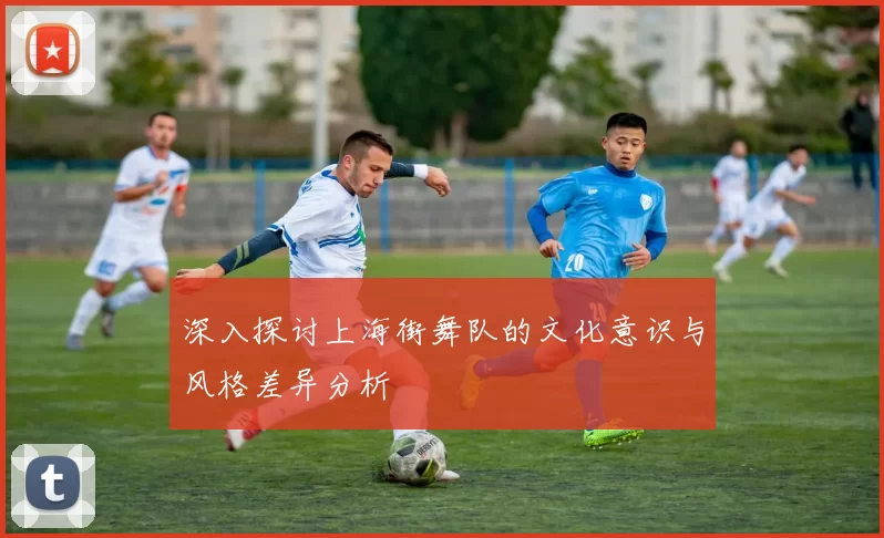 深入探讨上海街舞队的文化意识与风格差异分析