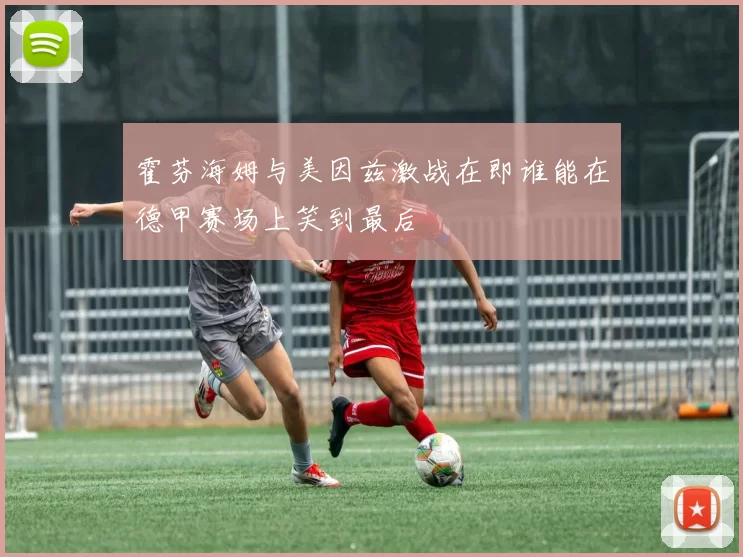 霍芬海姆与美因兹激战在即谁能在德甲赛场上笑到最后