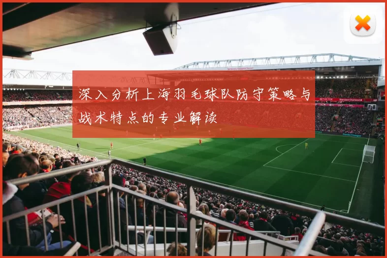 深入分析上海羽毛球队防守策略与战术特点的专业解读