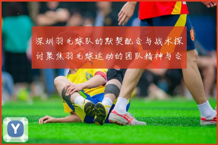 深圳羽毛球队的默契配合与战术探讨聚焦羽毛球运动的团队精神与合作技巧